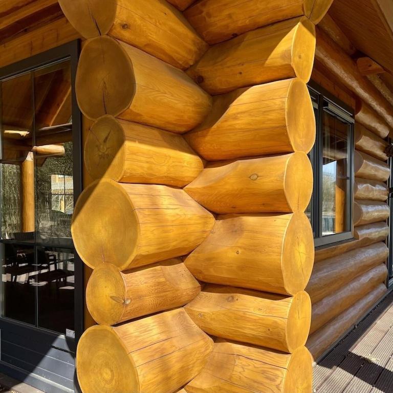 Unieke Houten Villa Met Sauna In Twente - 5P Den Ham Extérieur photo